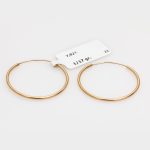 گوشواره طرح حلقه ایی