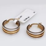 گوشواره طرح حلقه ایی